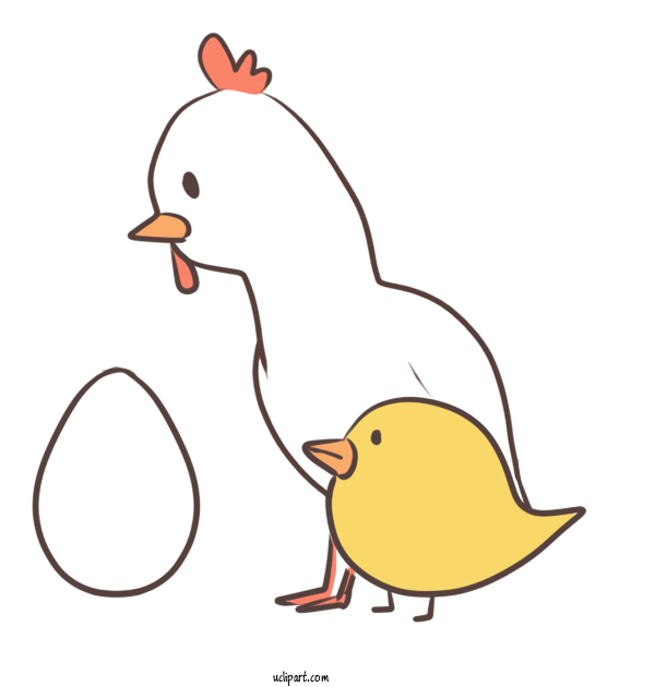 Free Animals Duck Chicken Cartoon For Bird Clipart Transparent Background
