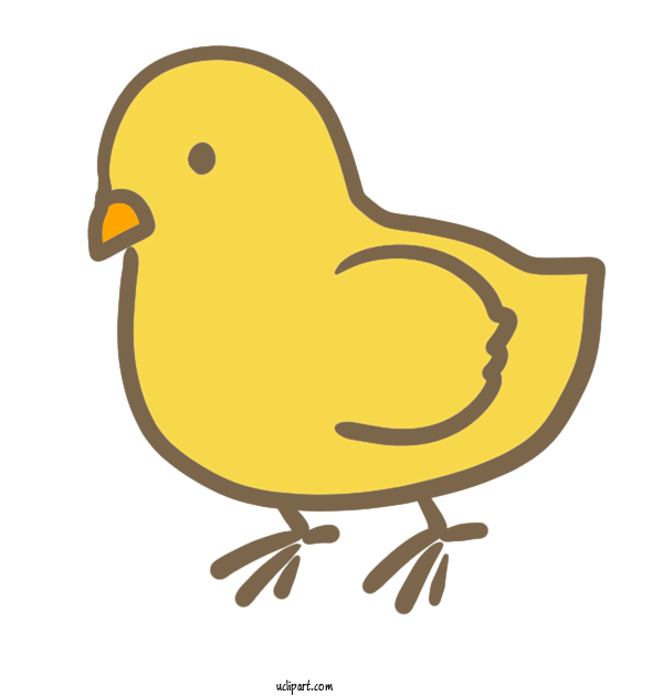 Free Animals Broiler Duck Cornish Chicken For Bird Clipart Transparent Background