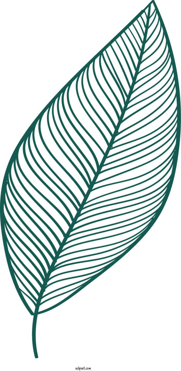 Free Nature Leaf Fern Branch For Leaf Clipart Transparent Background