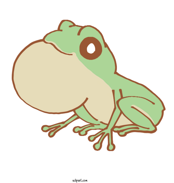 Free Animals Toad True Frog Reptiles For Frog Clipart Transparent Background