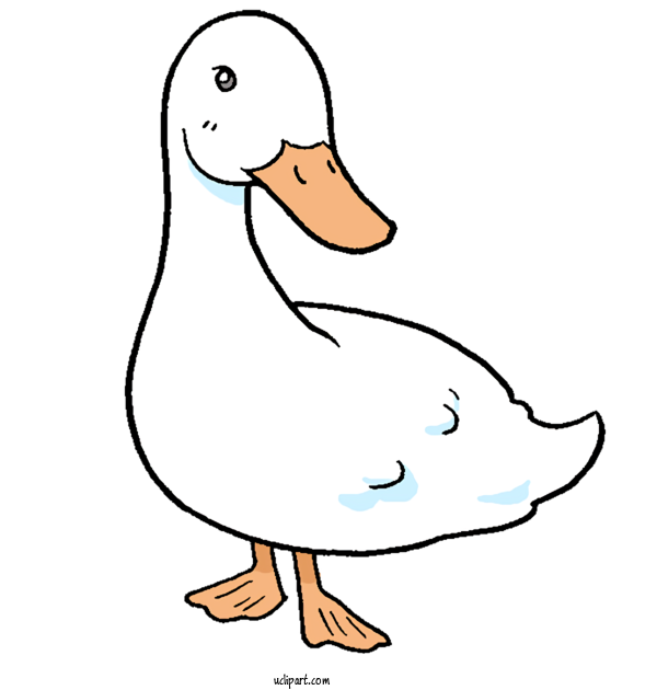 Free Animals Duck Goose Birds For Bird Clipart Transparent Background