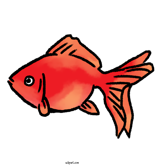 Free Animals Cartoon Fish Tail For Fish Clipart Transparent Background