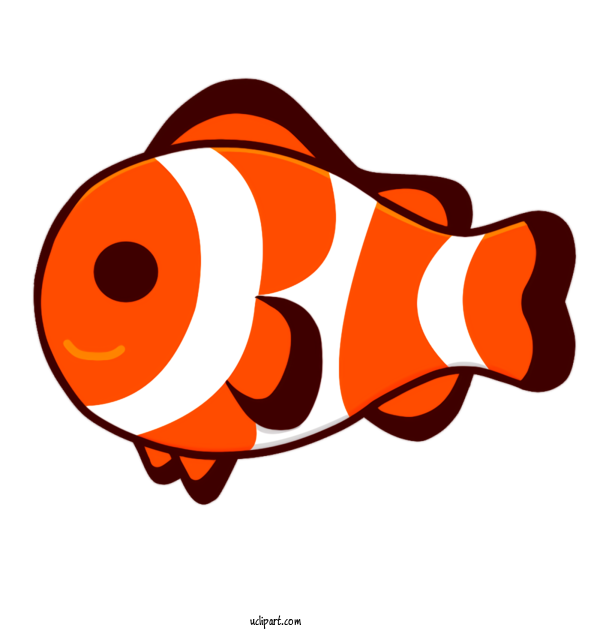 Free Animals Ocellaris Clownfish Clownfish Orange Clownfish For Fish Clipart Transparent Background
