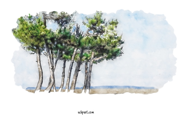 Free Nature Watercolor Painting Pine 사랑하는 그대에게 For Landscape Clipart Transparent Background