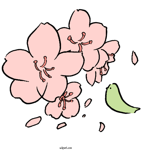 Free Animals Floral Design Flower Drawing For Bird Clipart Transparent Background