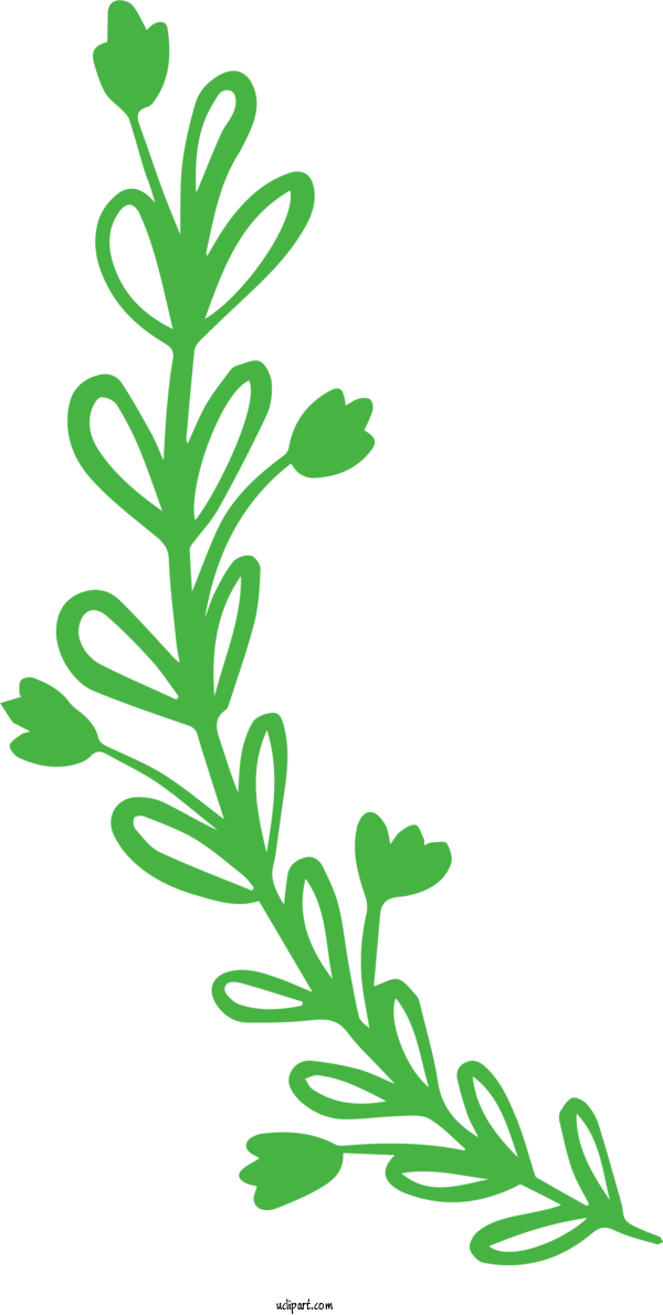 Free Nature Plant Stem Leaf Flower For Leaf Clipart Transparent Background