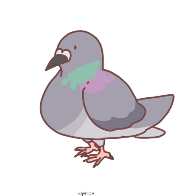 Free Animals Typical Pigeons Birds Breeding For Bird Clipart Transparent Background