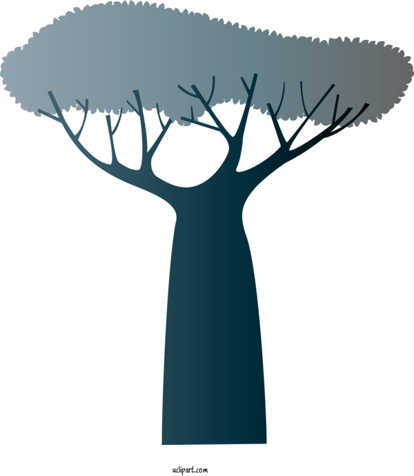 Free Nature Root Branch Tree For Tree Clipart Transparent Background