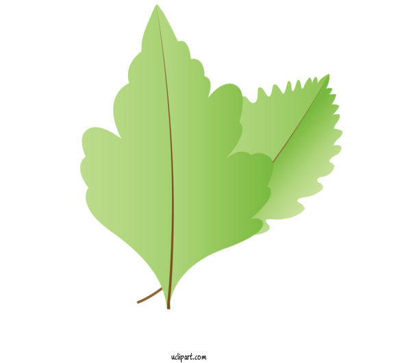 Free Nature Leaf Green M Tree For Autumn Clipart Transparent Background