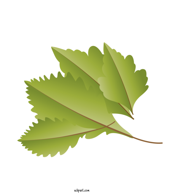 Free Nature Leaf Plant Stem Grape Leaves For Autumn Clipart Transparent Background