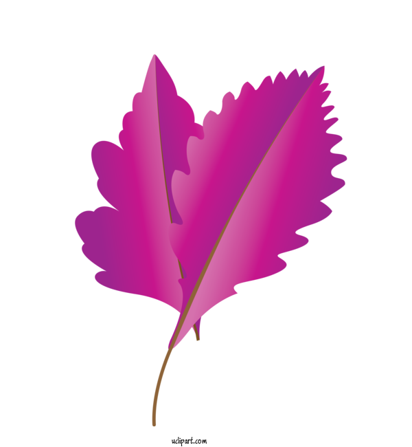 Free Nature Leaf Petal Purple For Autumn Clipart Transparent Background