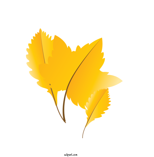 Free Nature Petal Leaf Yellow For Autumn Clipart Transparent Background