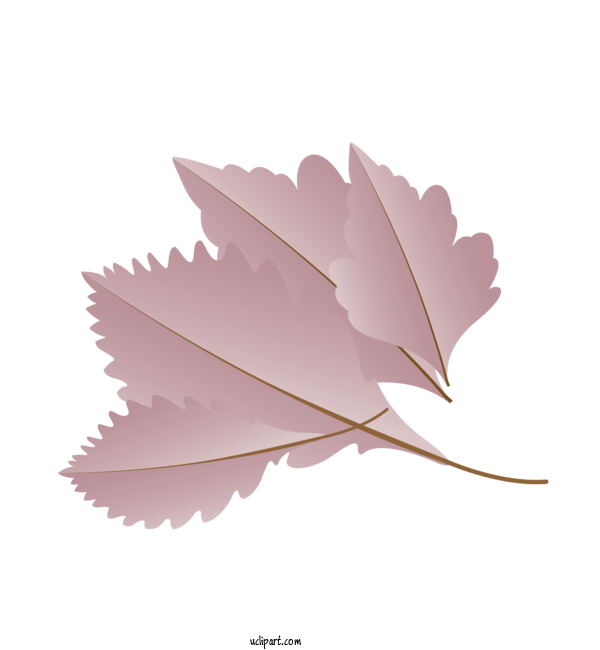 Free Nature Leaf Petal M Tree For Autumn Clipart Transparent Background