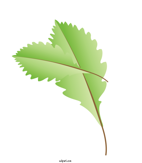 Free Nature Leaf Plant Stem M Tree For Autumn Clipart Transparent Background