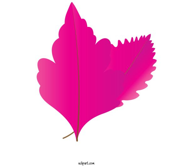 Free Nature Maple Leaf Leaf Petal For Autumn Clipart Transparent Background