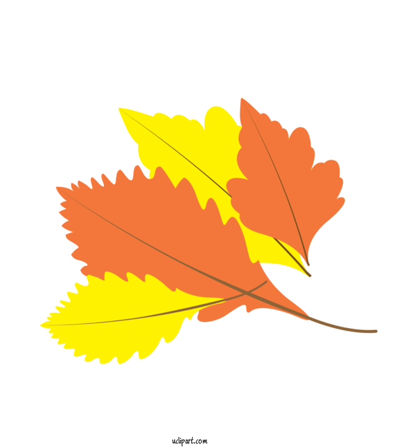 Free Nature Maple Leaf Leaf Yellow For Autumn Clipart Transparent Background