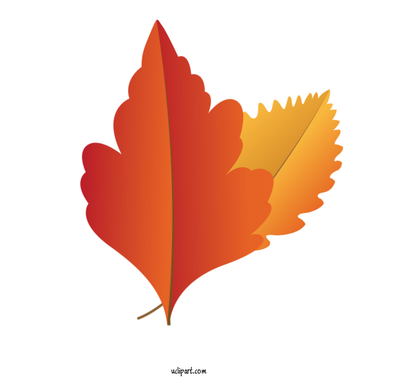 Free Nature Maple Leaf Leaf Computer For Autumn Clipart Transparent Background