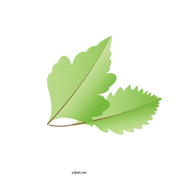 Free Nature Leaf Plant Stem Green For Autumn Clipart Transparent Background