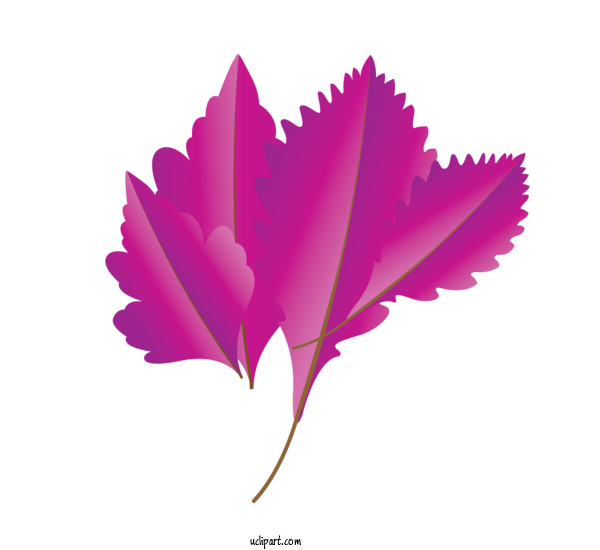 Free Nature Petal Leaf Computer For Autumn Clipart Transparent Background