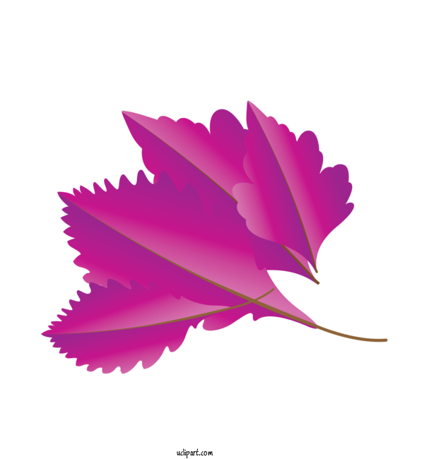 Free Nature Maple Leaf Leaf Petal For Autumn Clipart Transparent Background