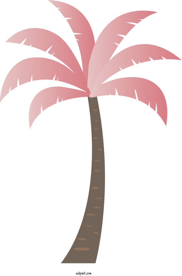 Free Nature Palm Trees Leaf Pink M For Tree Clipart Transparent Background
