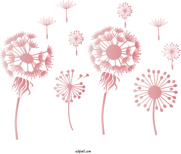 Free Flowers Plotter Design Cricut For Dandelion Clipart Transparent Background