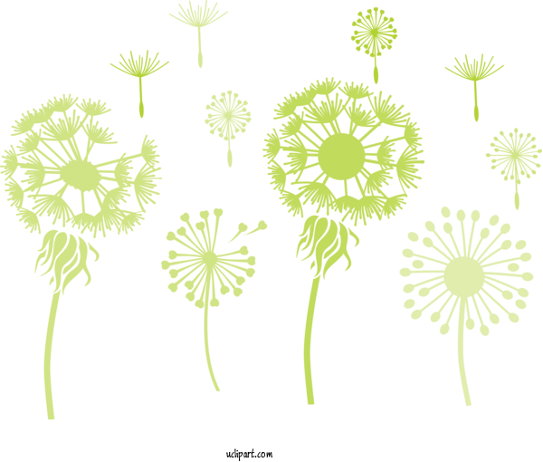 Free Flowers Plotter Design Stencil For Dandelion Clipart Transparent Background
