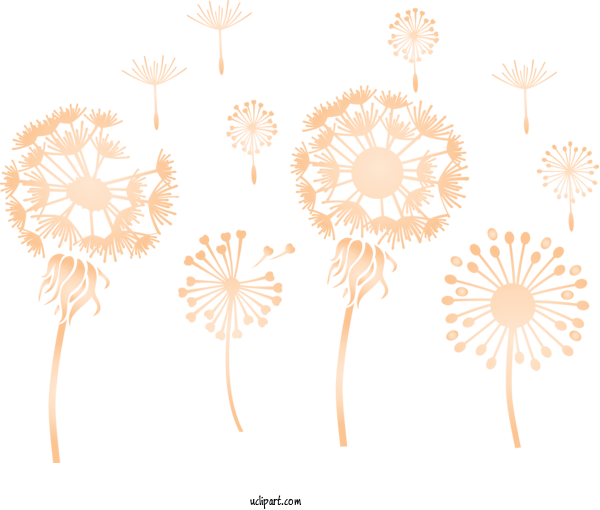 Free Flowers Free  Wreath For Dandelion Clipart Transparent Background