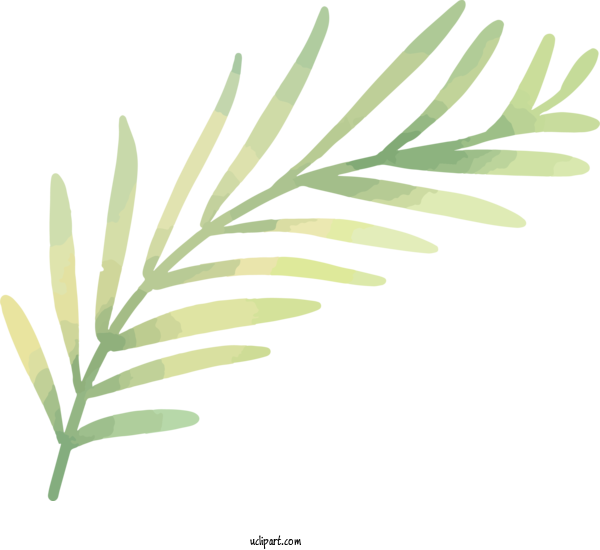 Free Nature Plant Stem Leaf Marimo For Leaf Clipart Transparent Background