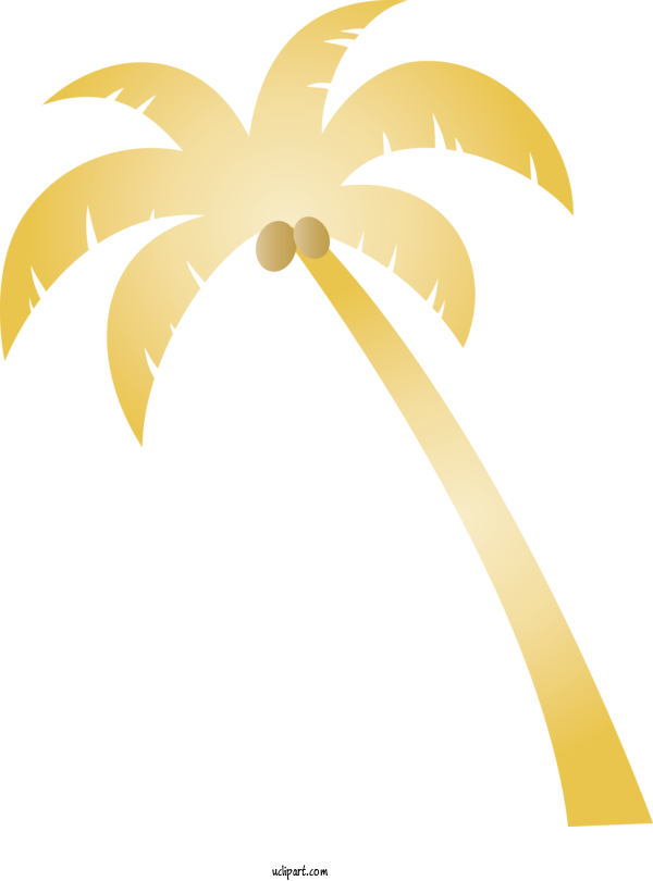 Free Nature Plant Stem Leaf Palm Trees For Tree Clipart Transparent Background