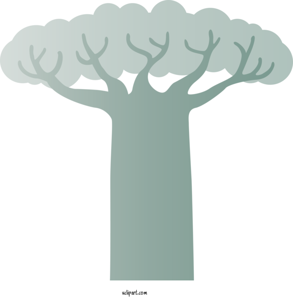 Free Nature Tree Adansonia Digitata Icon For Tree Clipart Transparent Background