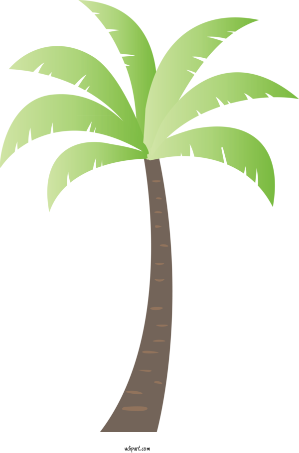 Free Nature Coconut Plant Stem Leaf For Tree Clipart Transparent Background
