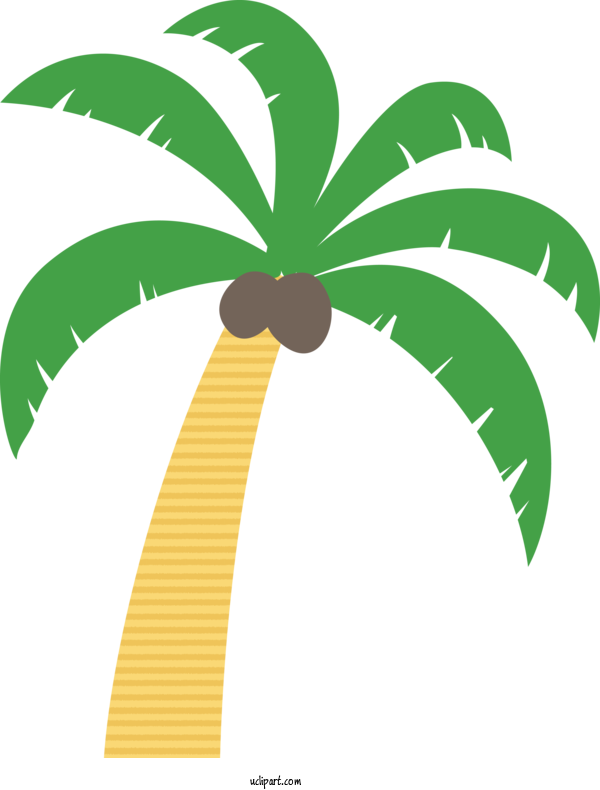 Free Nature Sea Side Beer Garden Palms Palm Trees おそうじ本舗 今宿店 For Tree Clipart Transparent Background