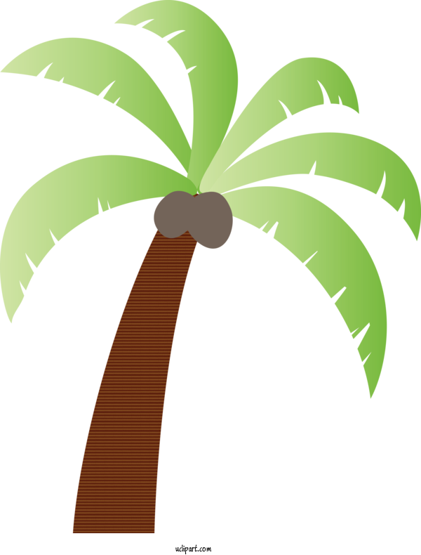 Free Nature Plant Stem Coconut Leaf For Tree Clipart Transparent Background