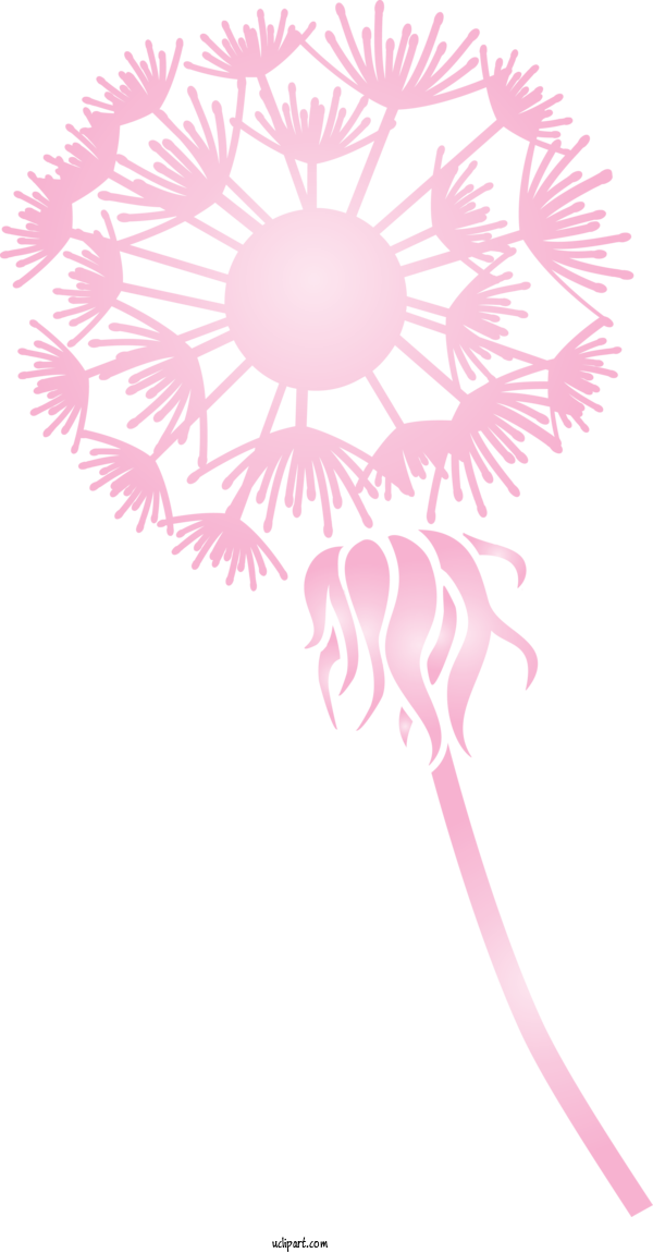 Free Flowers Floral Design Petal Pattern For Dandelion Clipart Transparent Background