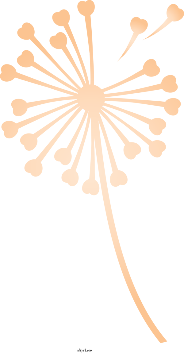 Free Flowers Line Point Meter For Dandelion Clipart Transparent Background