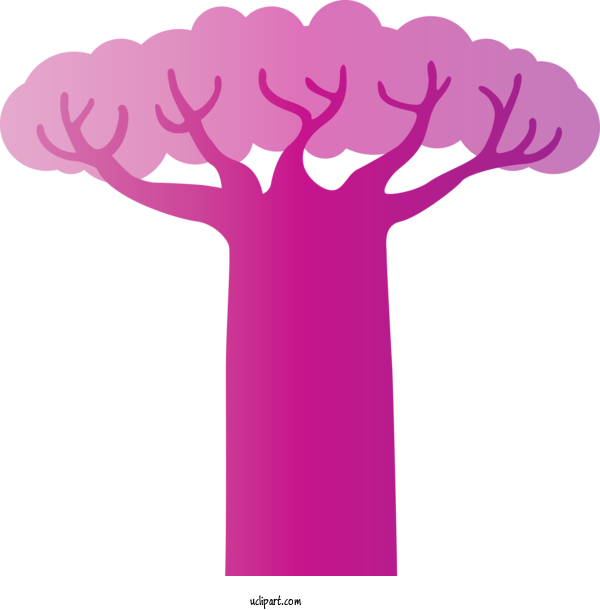 Free Nature Tree Adansonia Digitata Icon For Tree Clipart Transparent Background