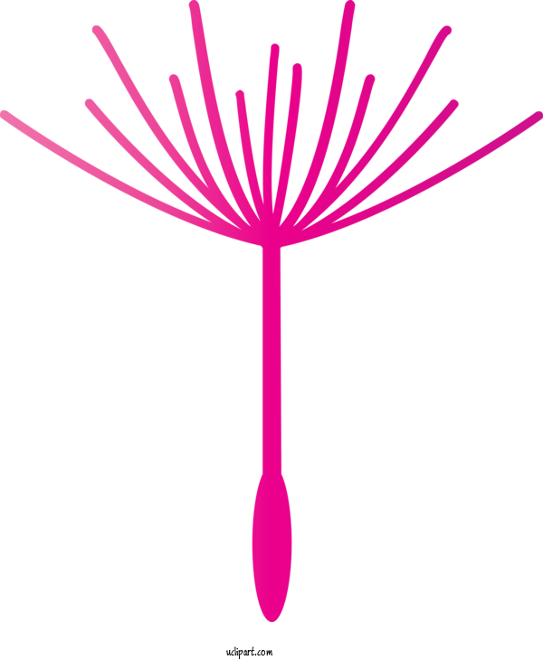 Free Flowers Petal Plant Stem Line Art For Dandelion Clipart Transparent Background
