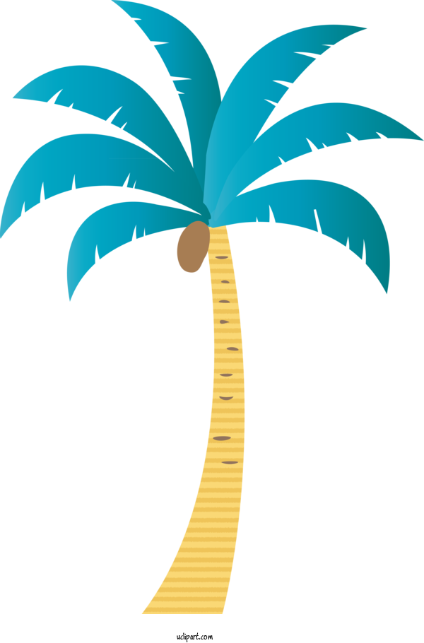 Free Nature Palm Trees Plant Stem Leaf For Tree Clipart Transparent Background