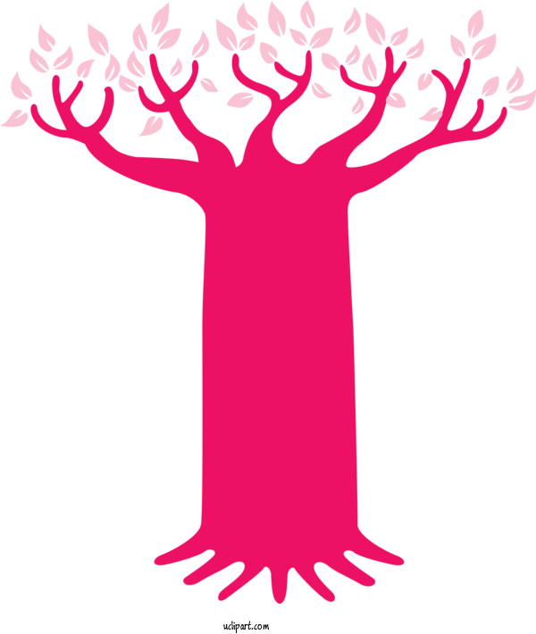 Free Nature Adansonia Digitata Icon Tree For Tree Clipart Transparent Background
