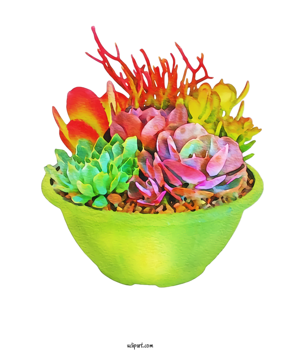 Free Nature Cactus Succulent Plant Floral Design For Succulent Plant Clipart Transparent Background