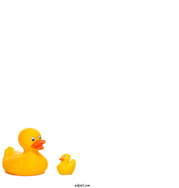 Free Life Duck Yellow Beak For Daily Necessaries Clipart Transparent Background