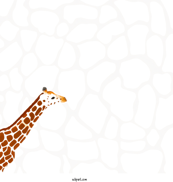 Free Animals Giraffe Royalty Free Cartoon For Giraffe Clipart Transparent Background