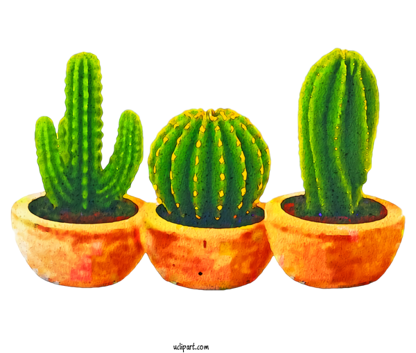 Free Nature Cactus Succulent Plant Watercolor Painting For Succulent Plant Clipart Transparent Background