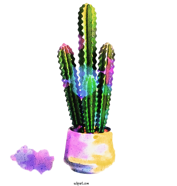Free Nature Cactus Succulent Plant Plants For Succulent Plant Clipart Transparent Background