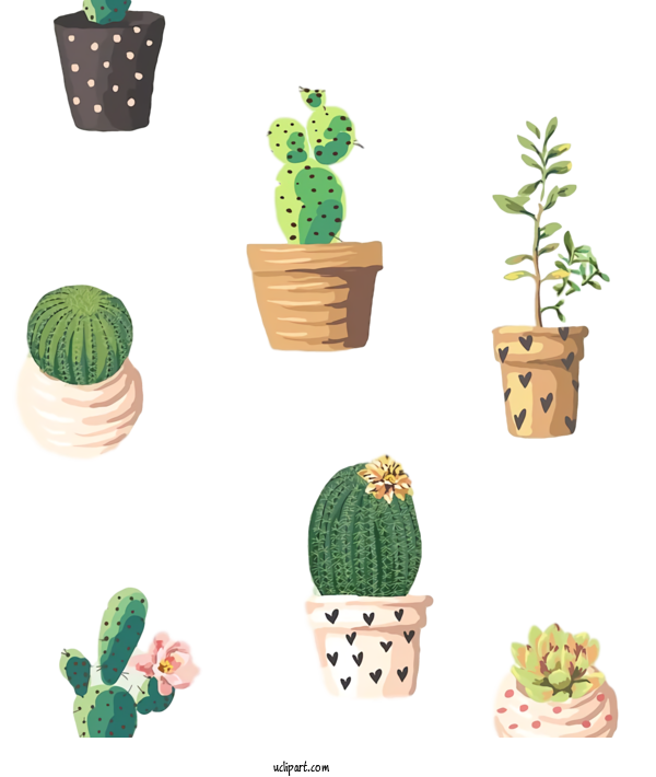 Free Nature Succulent Plant Cactus Napkin For Plant Clipart Transparent Background