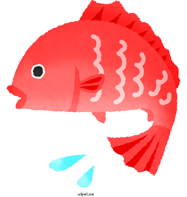 Free Animals Fish Science Biology For Fish Clipart Transparent Background