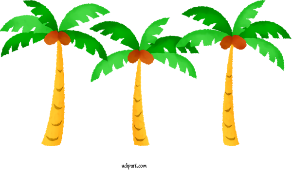 Free Nature Plant Stem Palm Trees Leaf For Summer Clipart Transparent Background