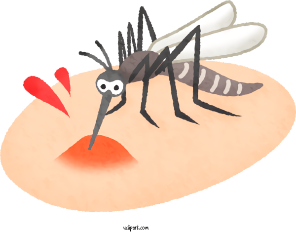 Free Nature Mosquito マンガでわかる「西式甲田療法」: 一番わかりやすい実践入門書 Health For Summer Clipart Transparent Background