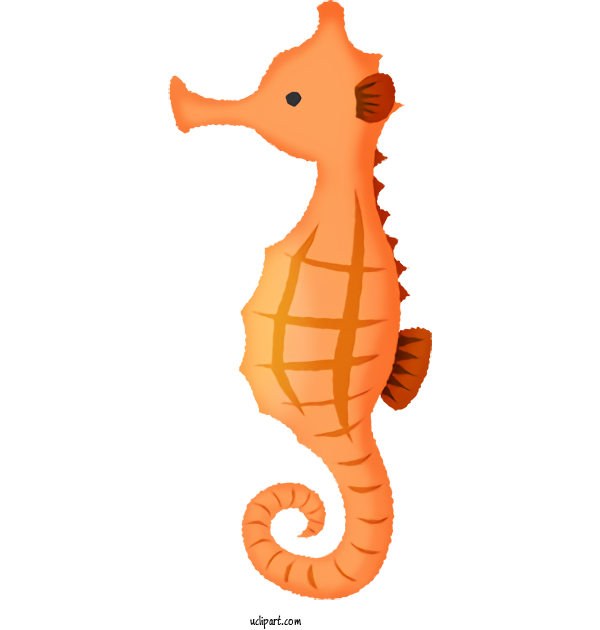 Free Animals Seahorses Dragon Design For Fish Clipart Transparent Background